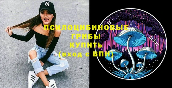 spice Абаза