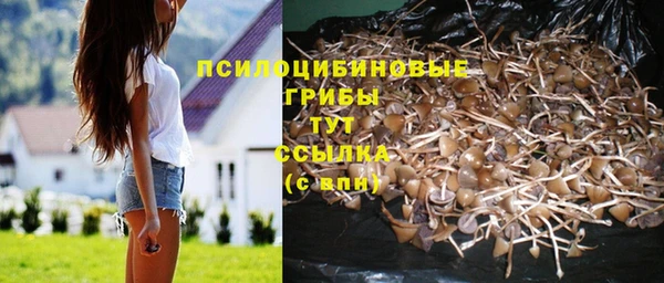 таблы Алексеевка