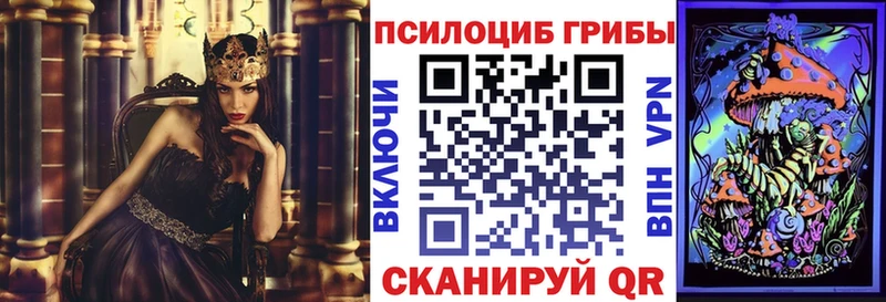 Псилоцибиновые грибы Cubensis  гидра ONION  Усолье-Сибирское 